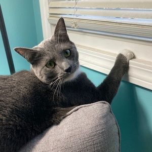 Meet your Posher, Travis